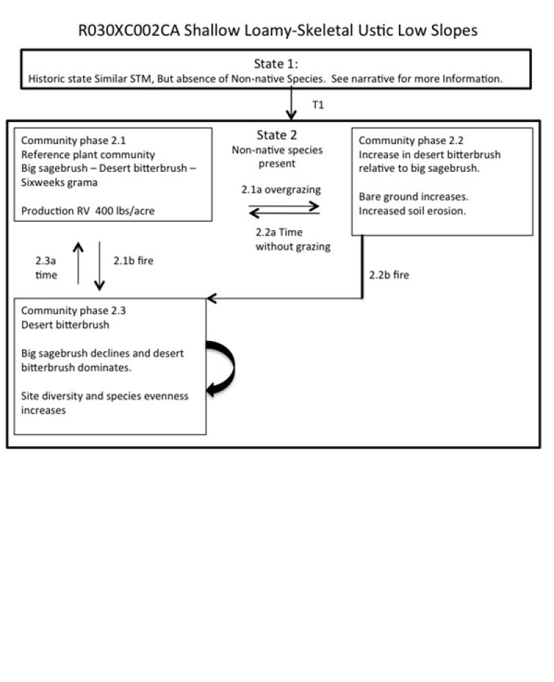 Model diagram