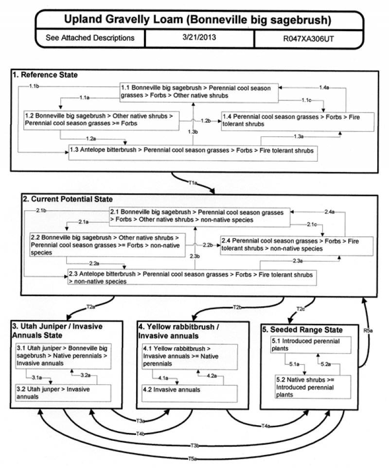 Model diagram