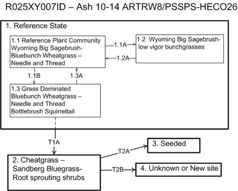 Model diagram