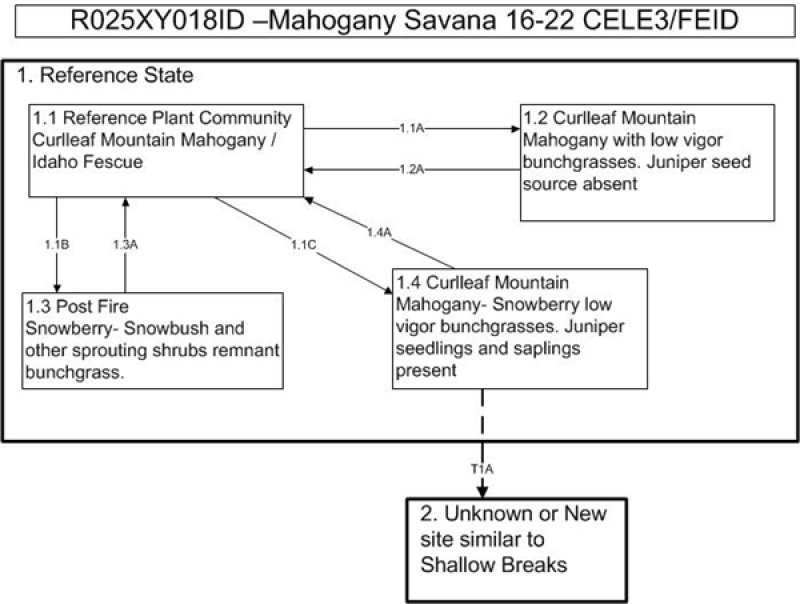 Model diagram