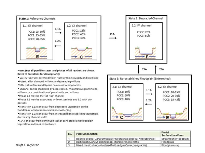 Model diagram