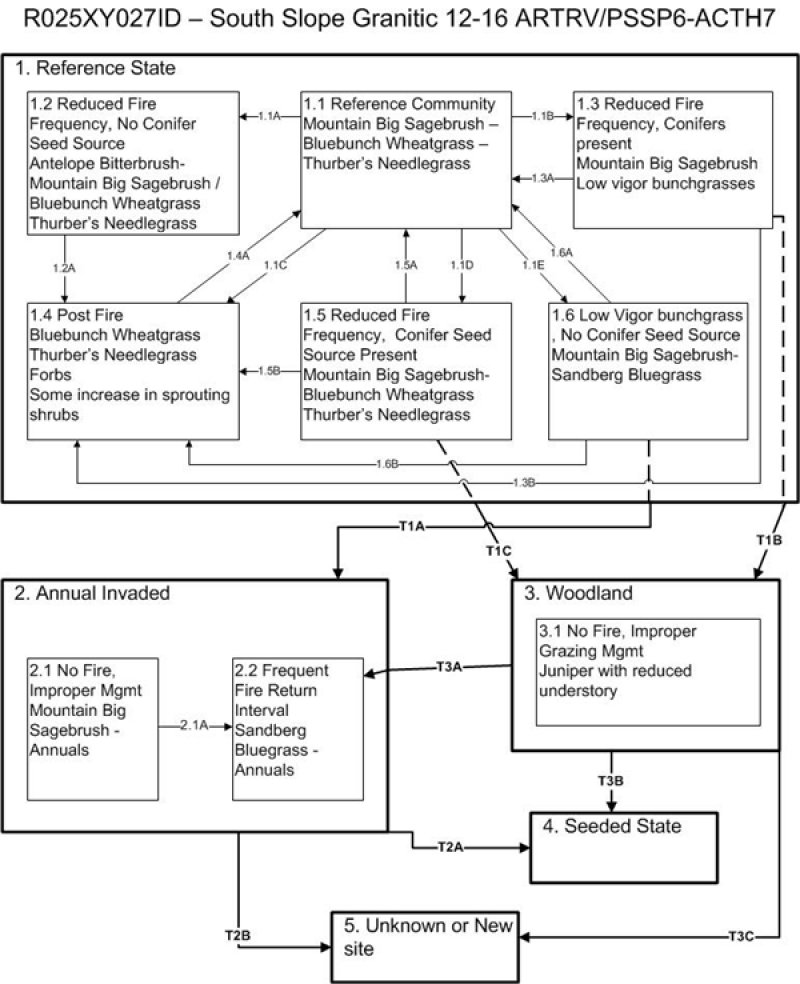 Model diagram
