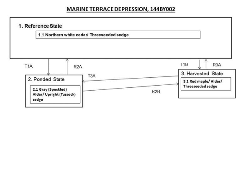 Model diagram