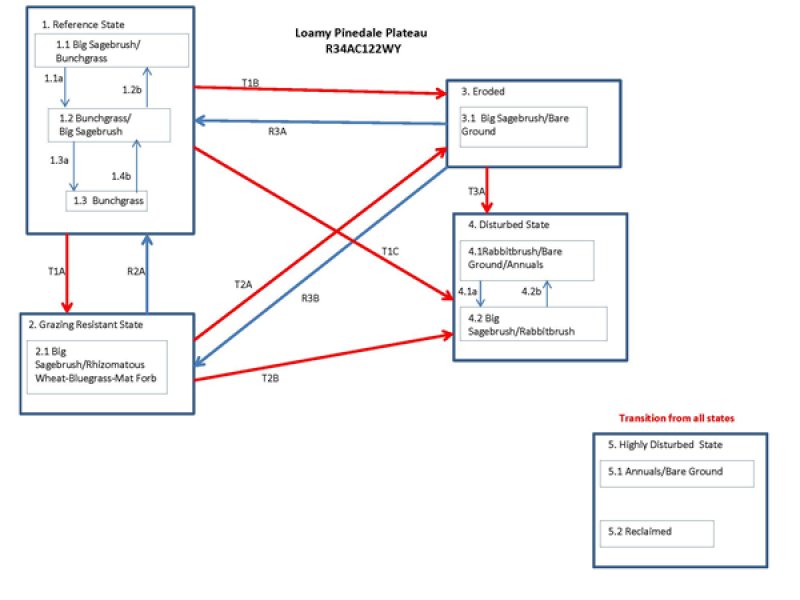 Model diagram