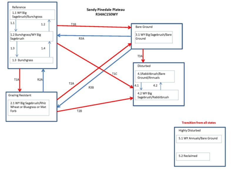 Model diagram
