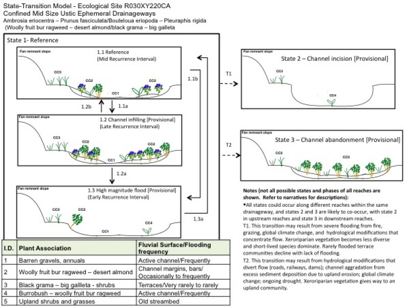 Model diagram