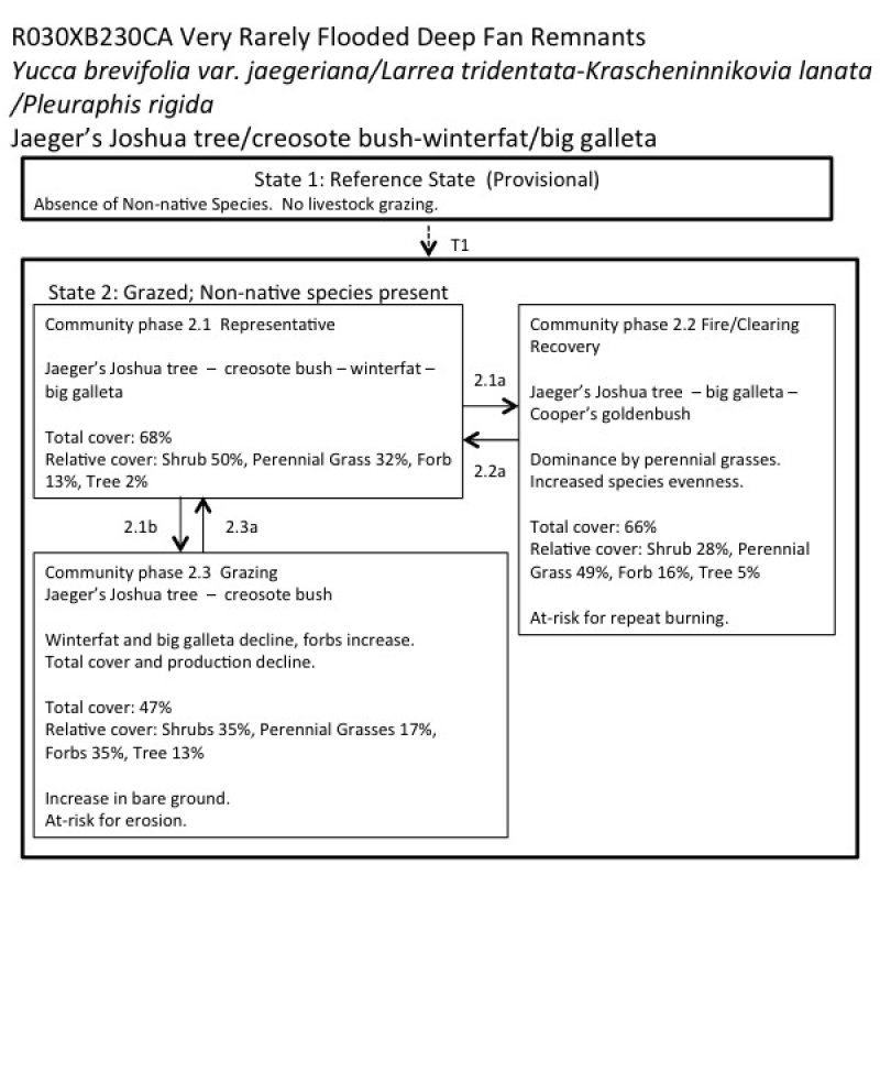 Model diagram