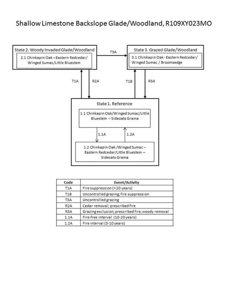 Model diagram