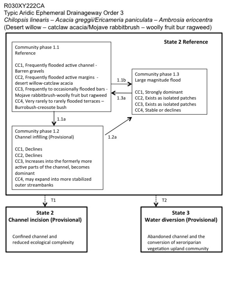 Model diagram