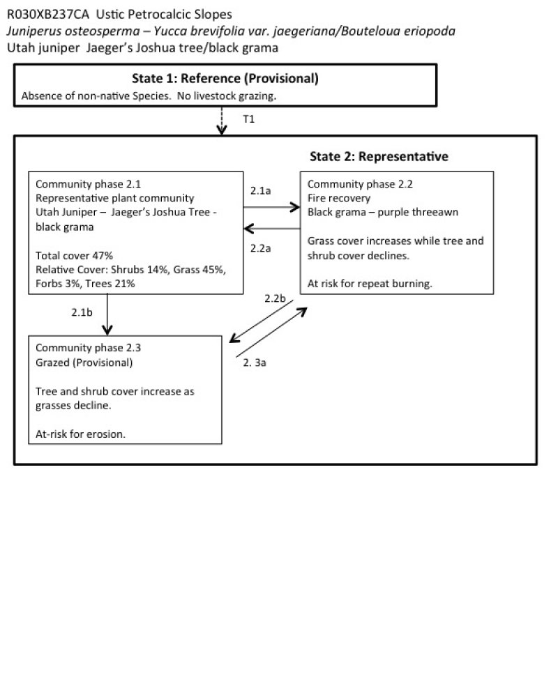 Model diagram