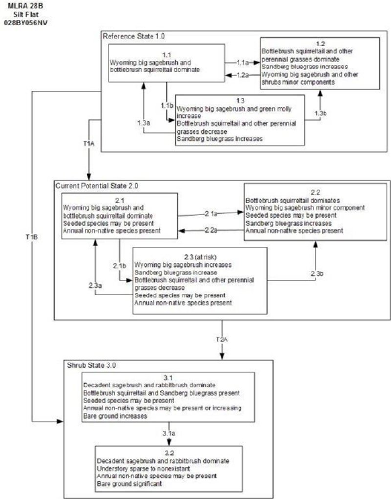 Model diagram
