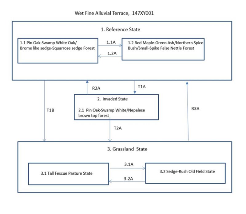 Model diagram