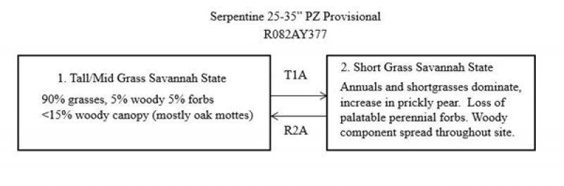 Model diagram