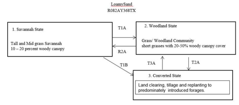 Model diagram