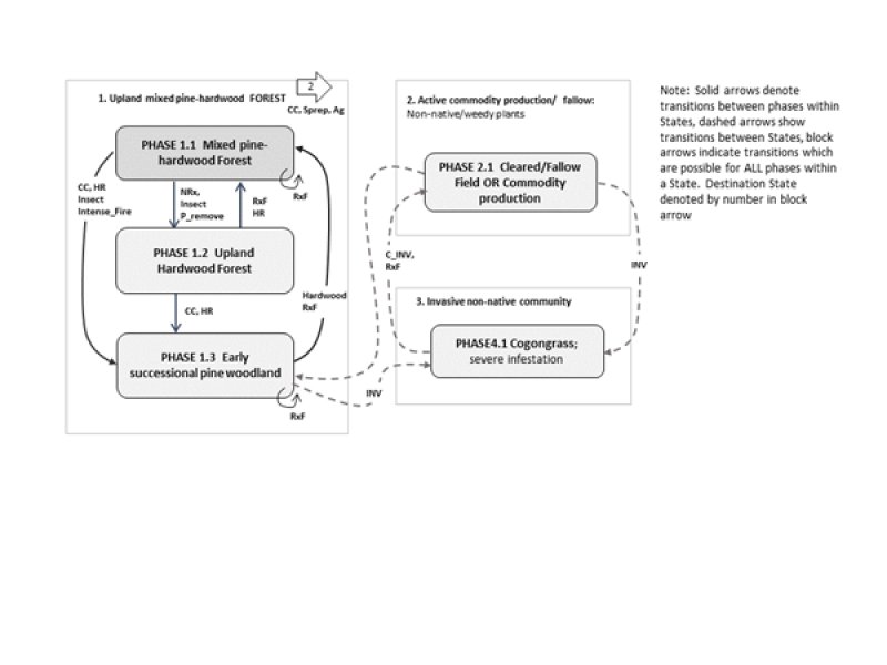Model diagram