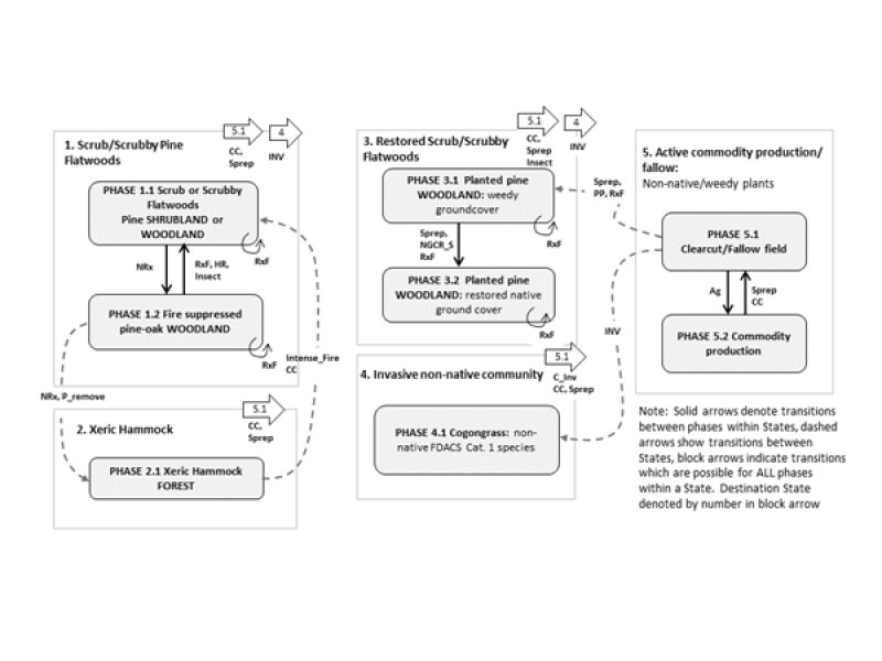 Model diagram
