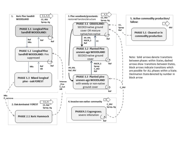 Model diagram