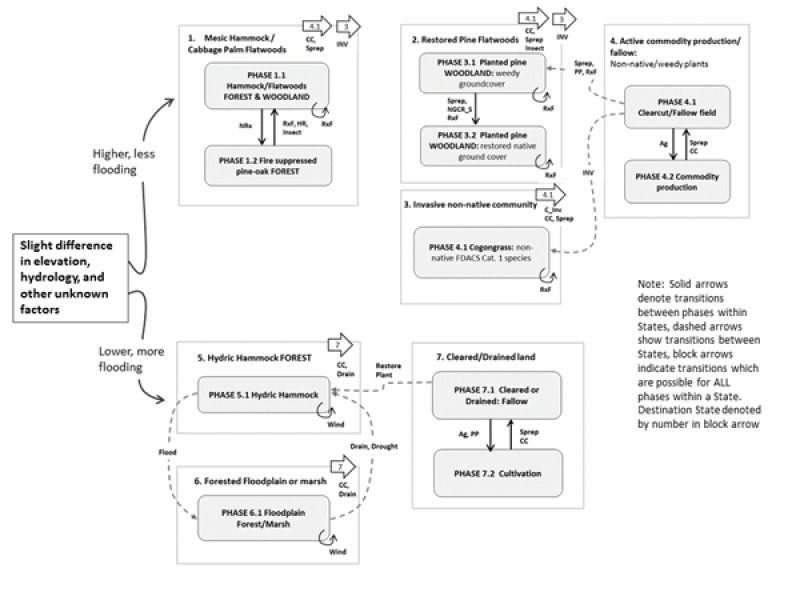 Model diagram