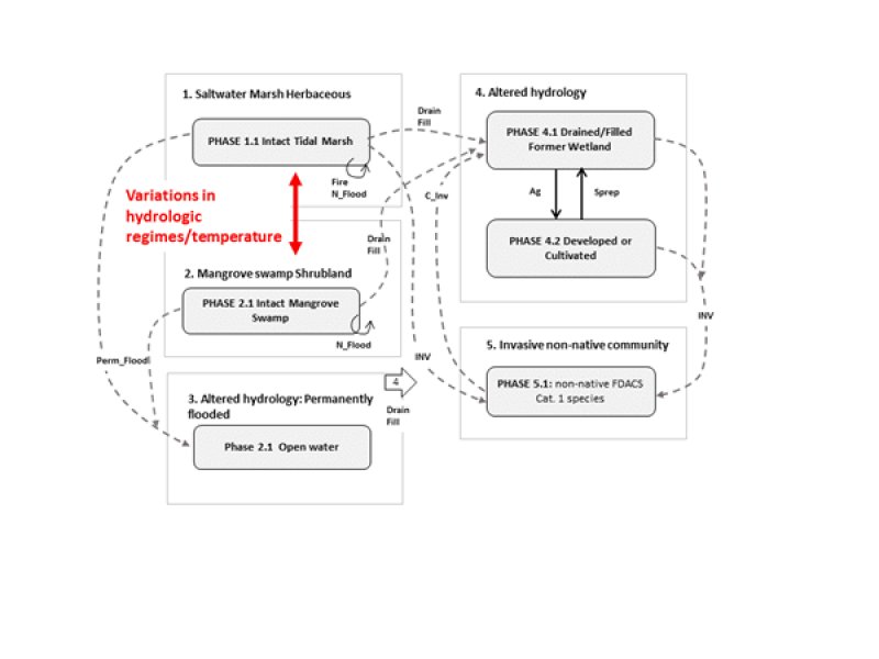 Model diagram