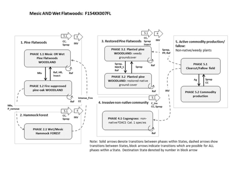 Model diagram