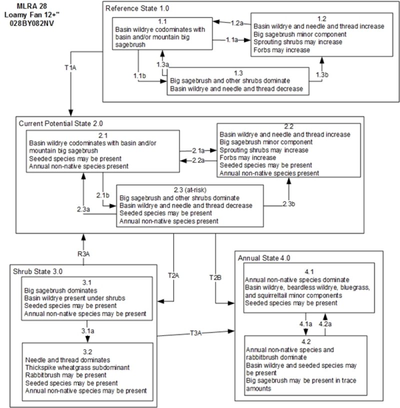 Model diagram