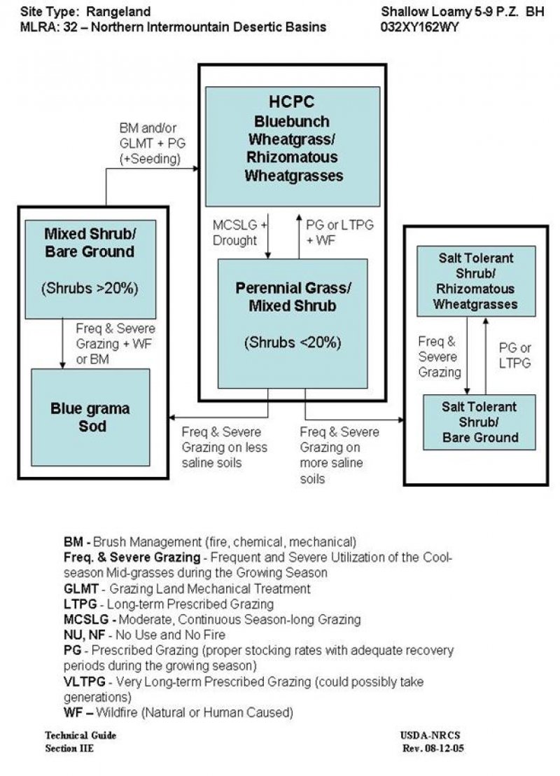 Model diagram