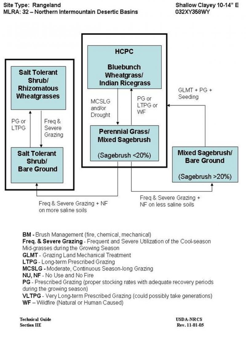 Model diagram