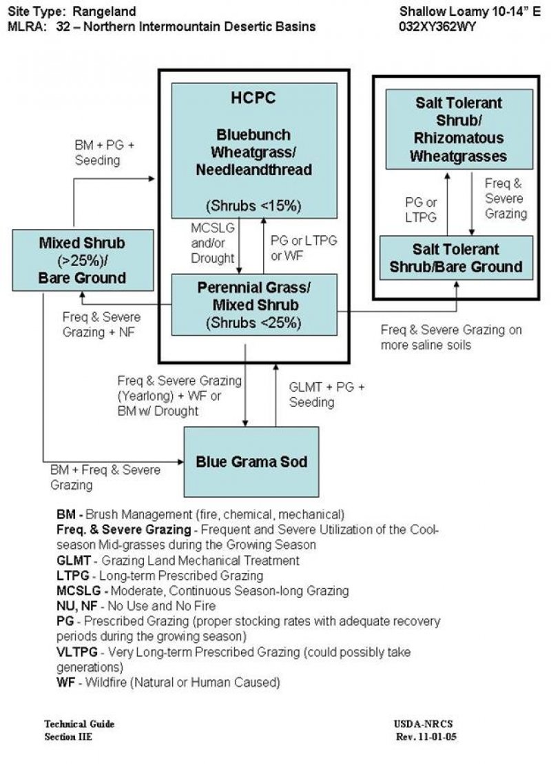 Model diagram