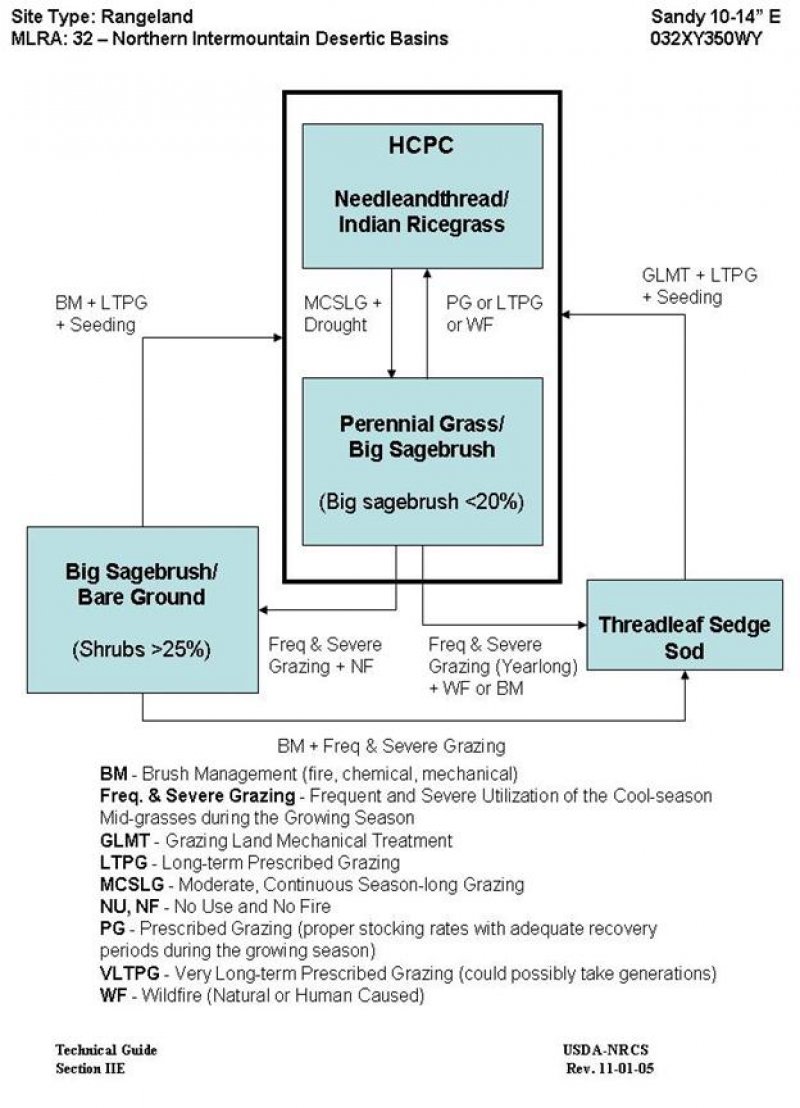 Model diagram