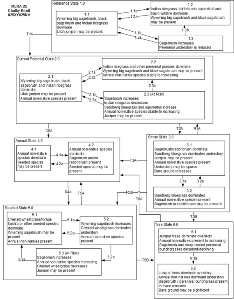 Model diagram