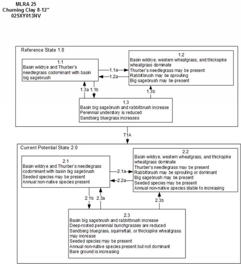 Model diagram