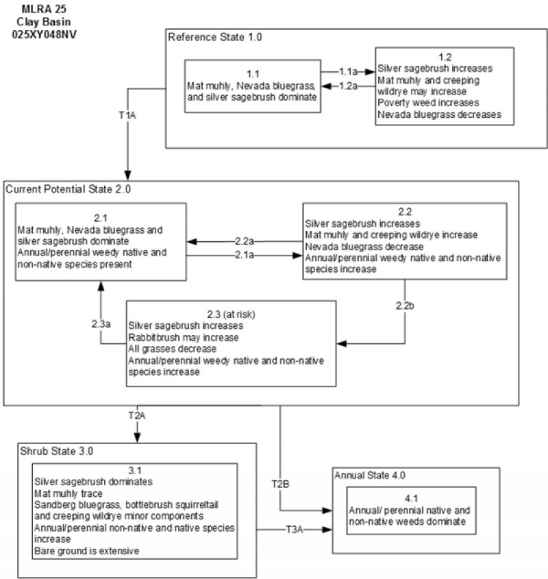 Model diagram