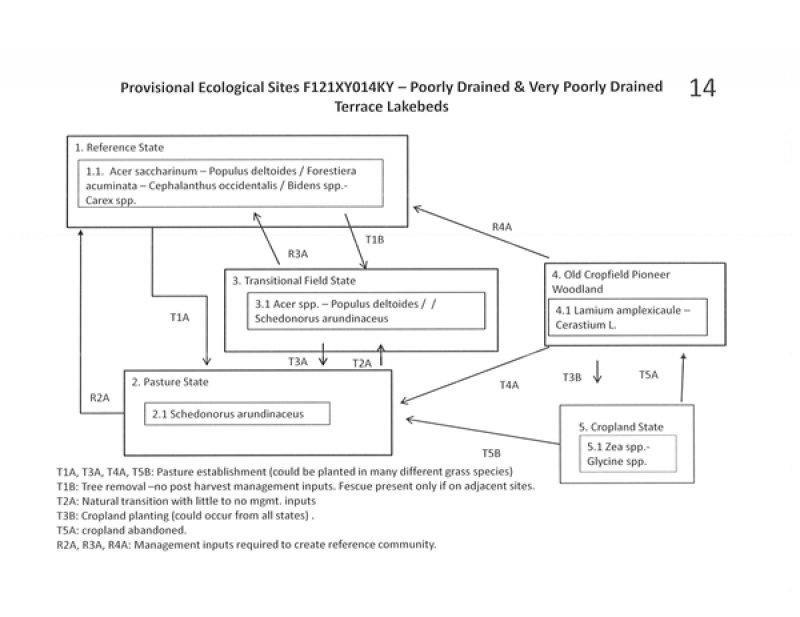 Model diagram