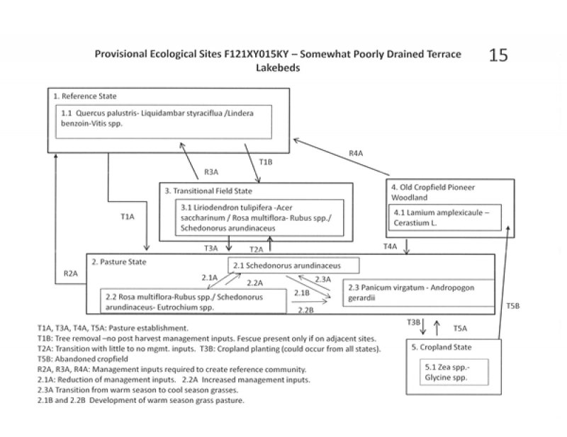 Model diagram