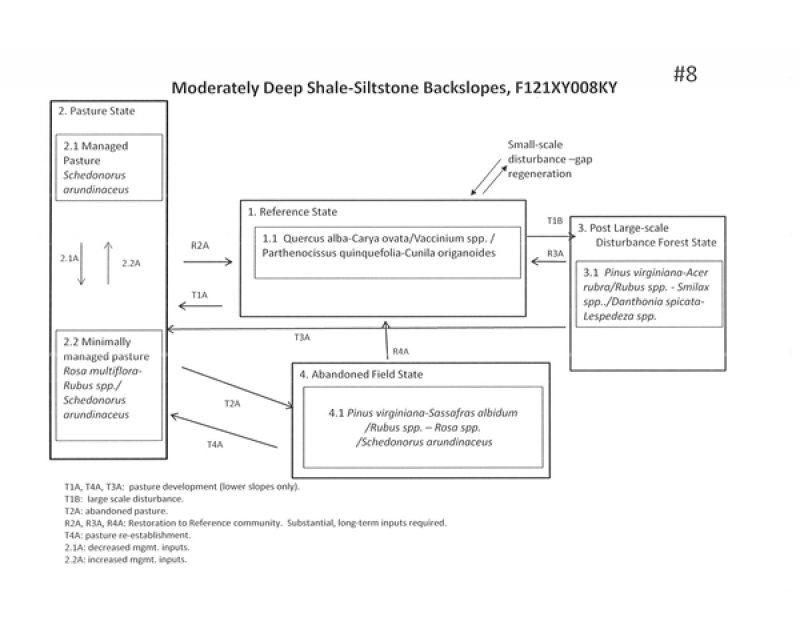Model diagram