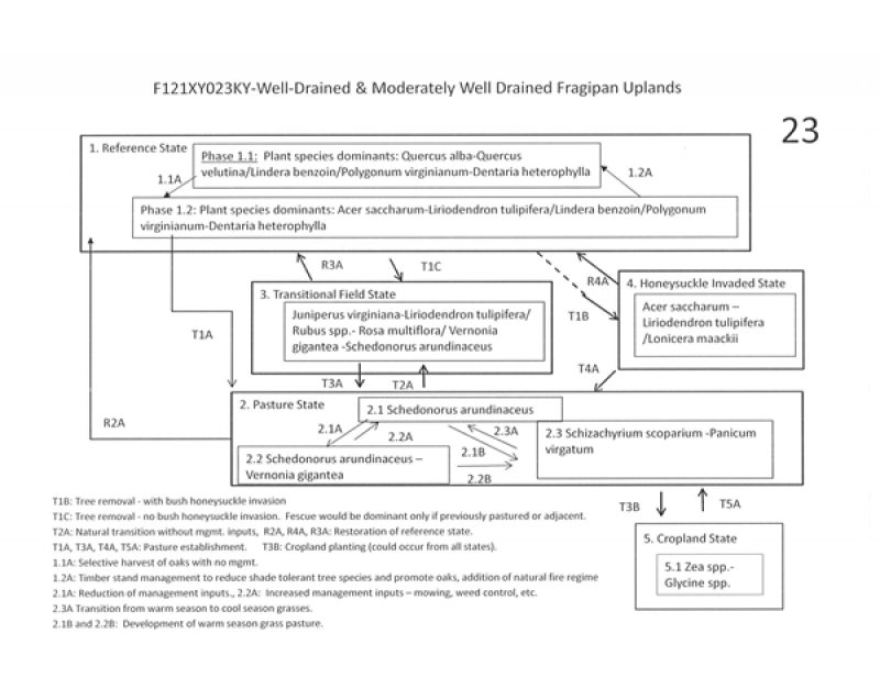 Model diagram