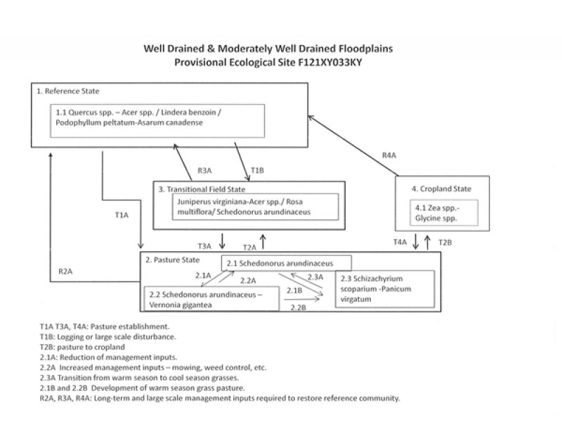 Model diagram