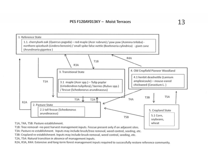 Model diagram