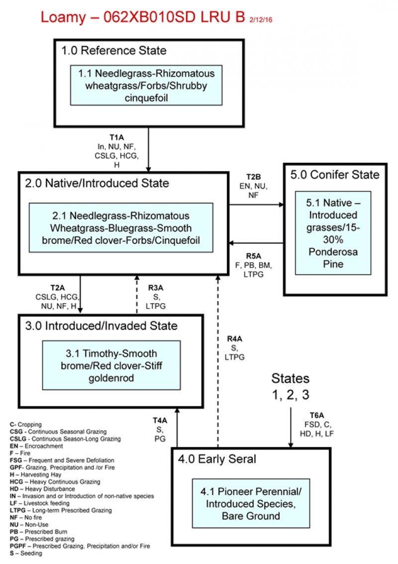 Model diagram