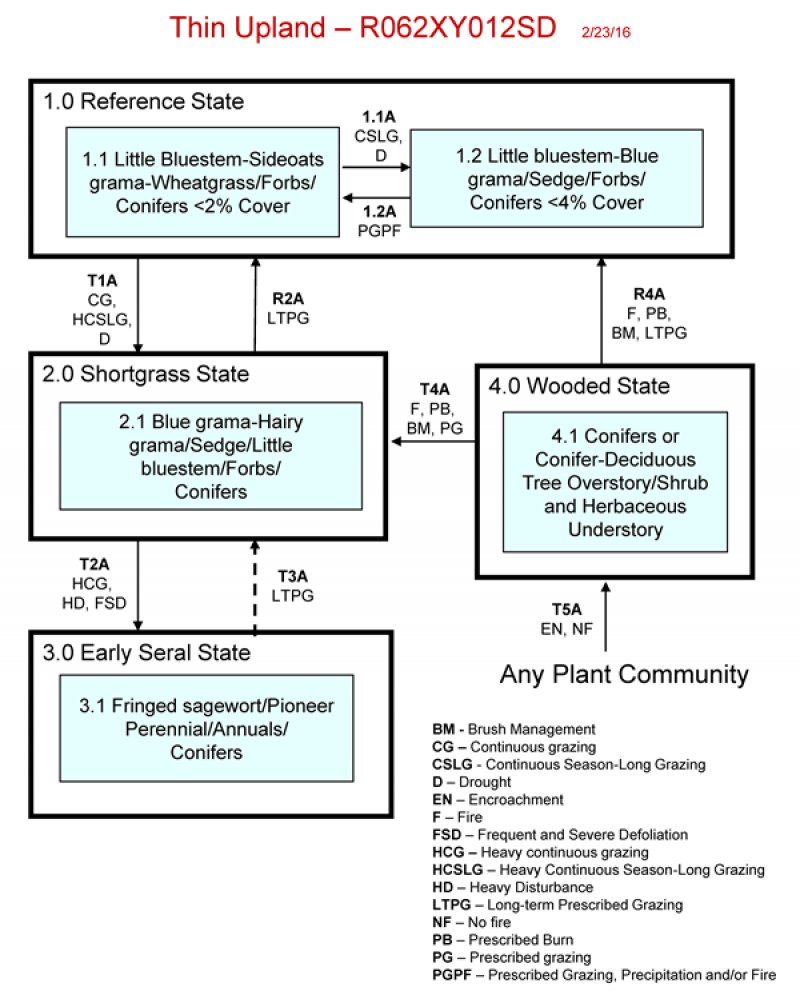 Model diagram