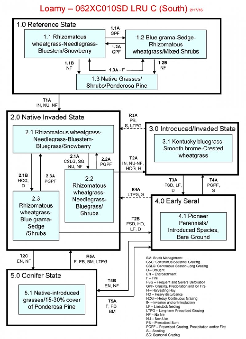 Model diagram