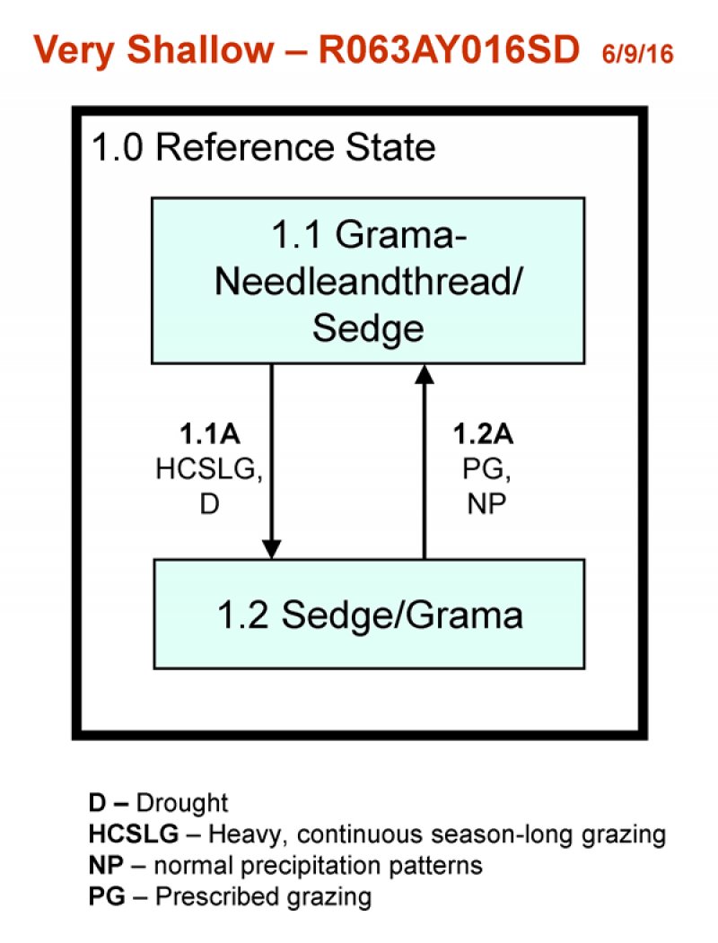 Model diagram