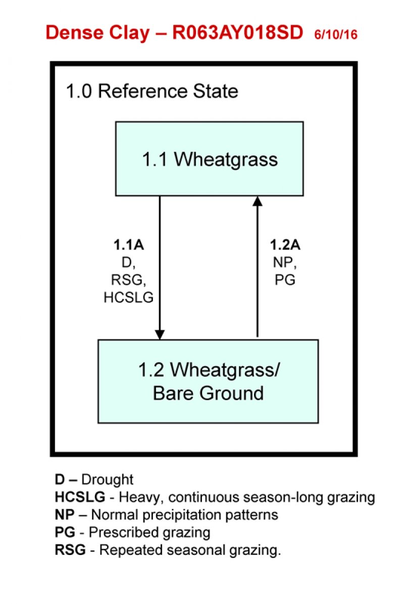 Model diagram