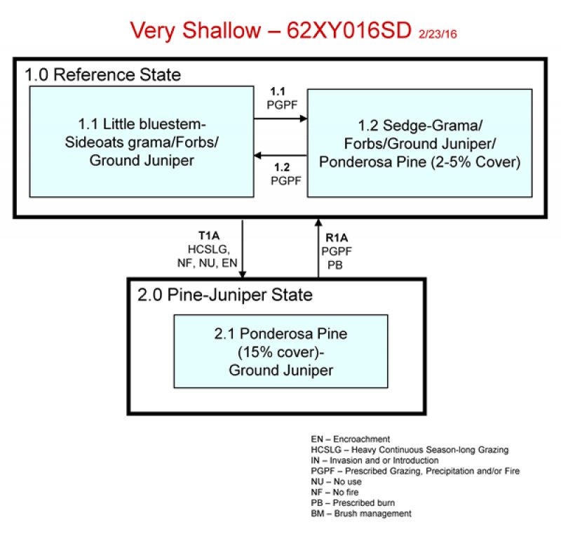 Model diagram