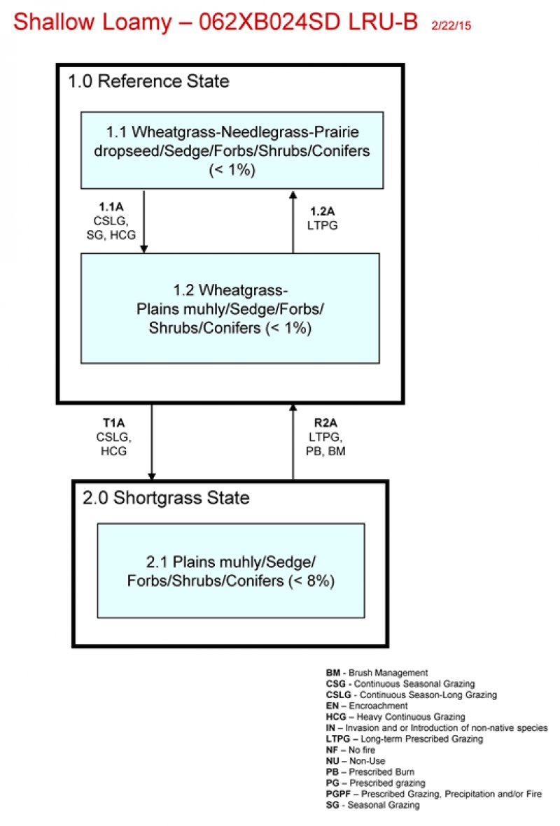 Model diagram