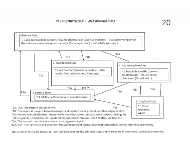 Model diagram