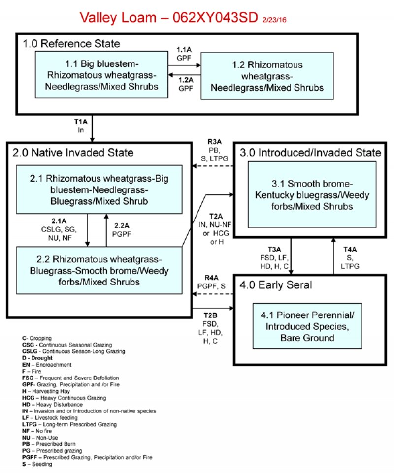 Model diagram