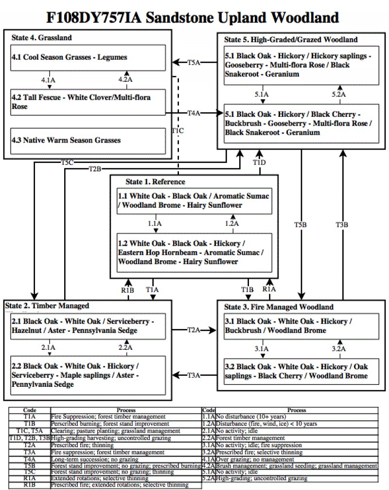 Model diagram