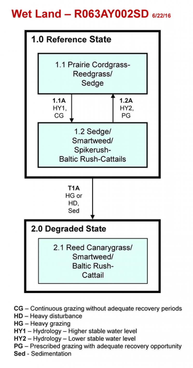 Model diagram