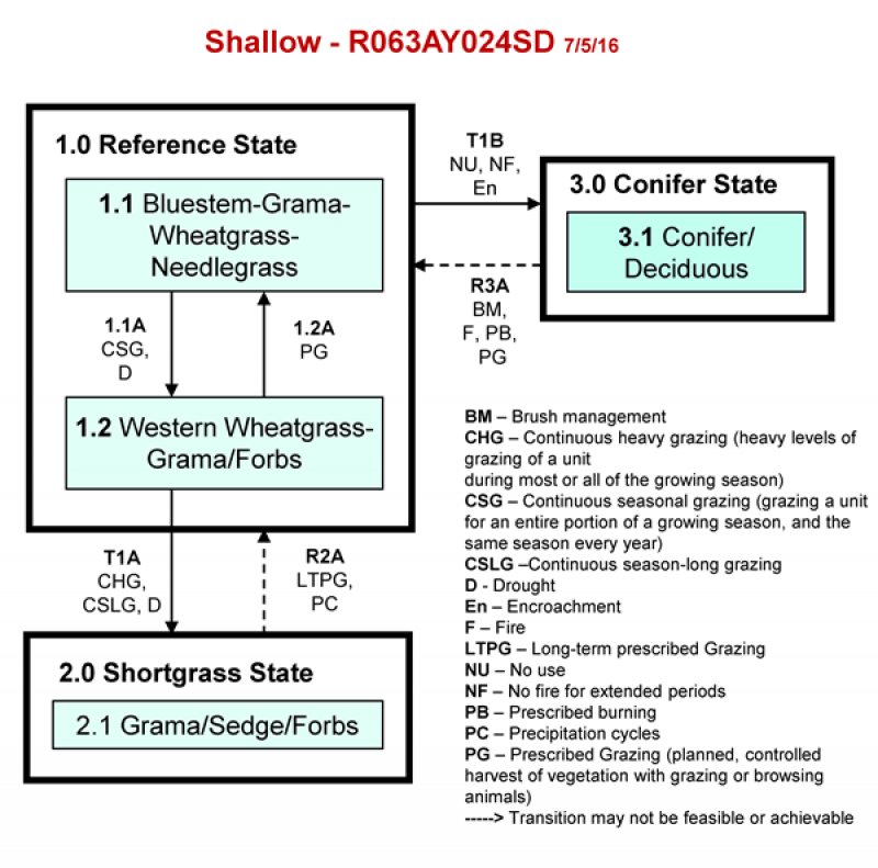 Model diagram